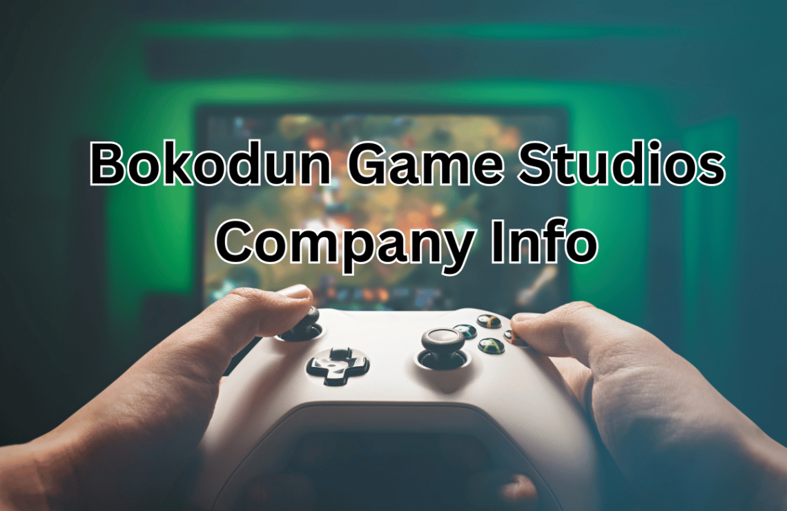 Bokodun Game Studios Company Info
