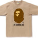 Bape T Shirt popular in Resale Markets Fashion