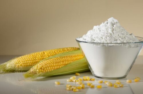 Corn Starch Market