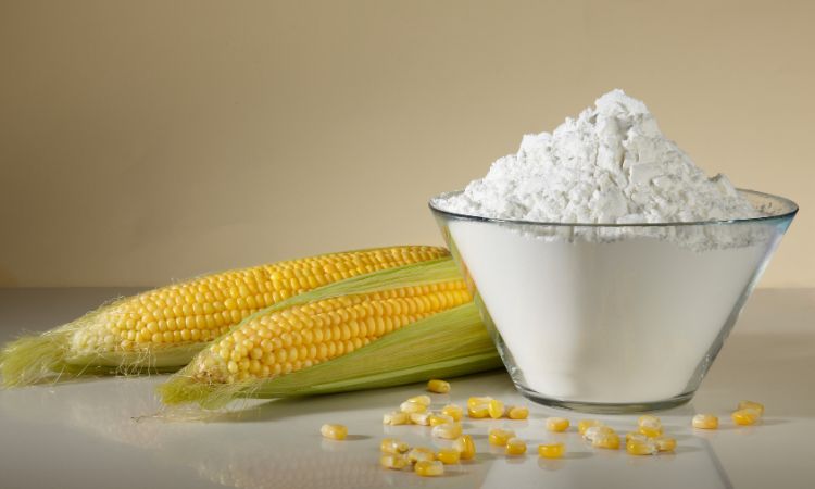 Corn Starch Market