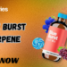 Blue Burst Terpene