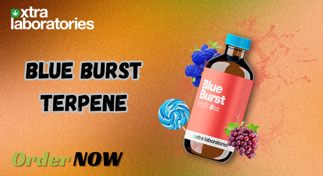 Blue Burst Terpene