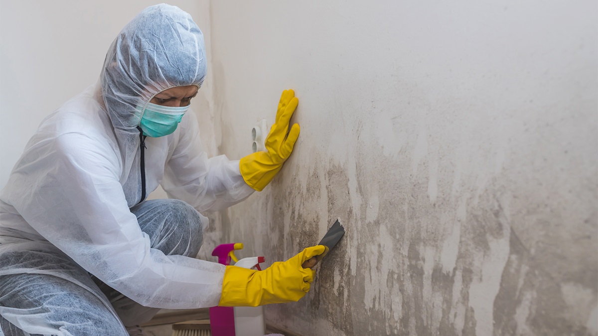 How Can You Protect Your Family With Essential Mold Remediation Services?