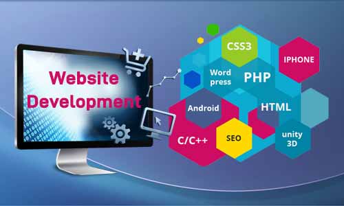 How to Choose the Right Web Development Company in India