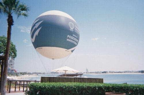 Soaring Above Atlantis