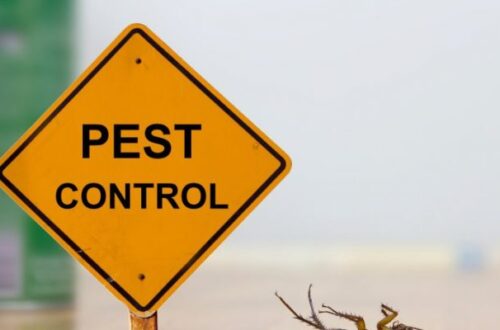 Pest Control Cedar Hill, Texas