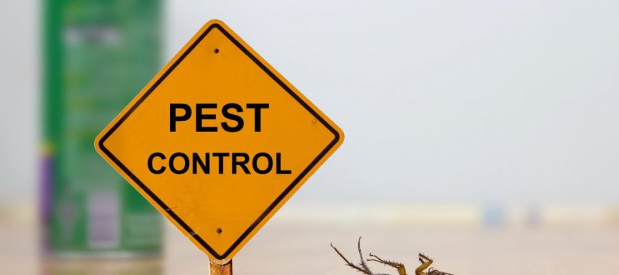 Pest Control Cedar Hill, Texas