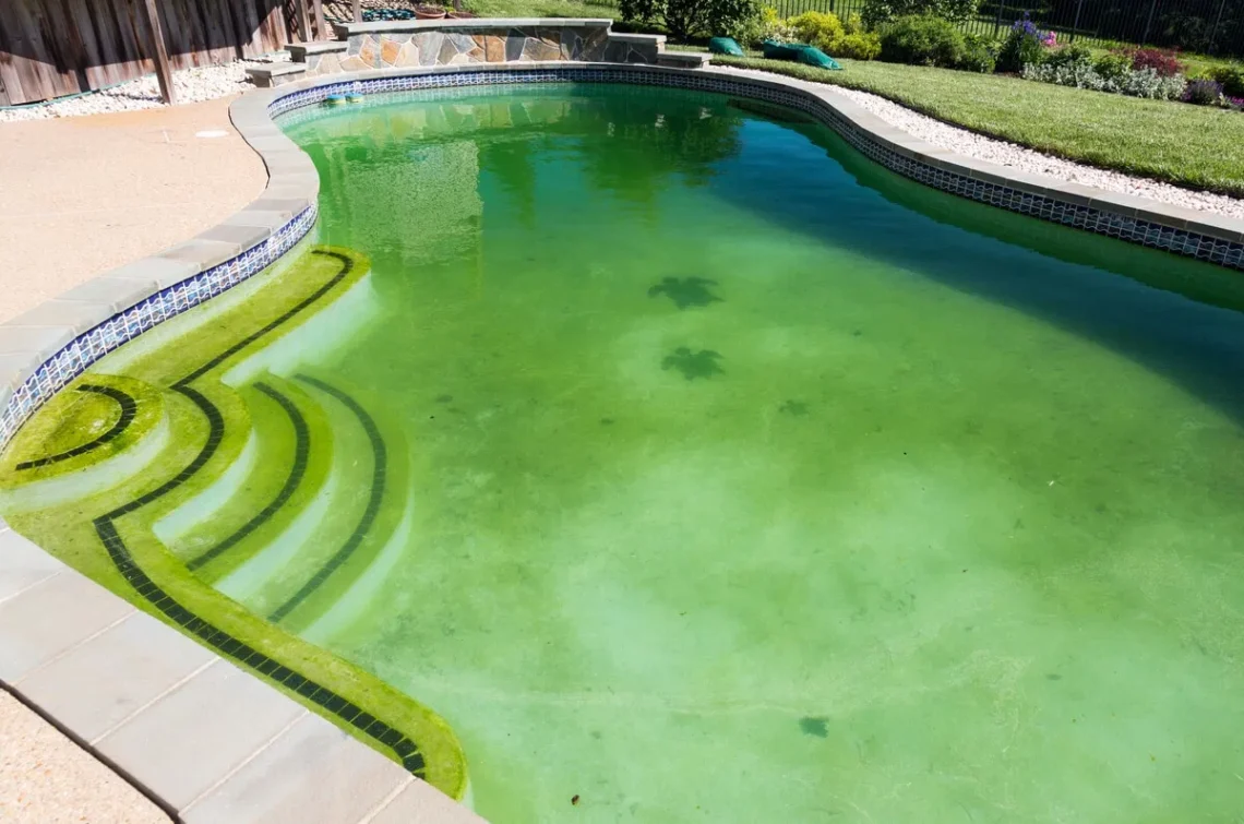 cleaning-the-pool-from-debris-dirt-algae