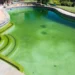 cleaning-the-pool-from-debris-dirt-algae