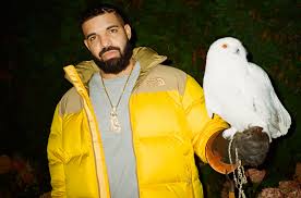 OVO Drake