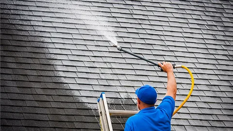 best roof cleaning company in Charlotte,