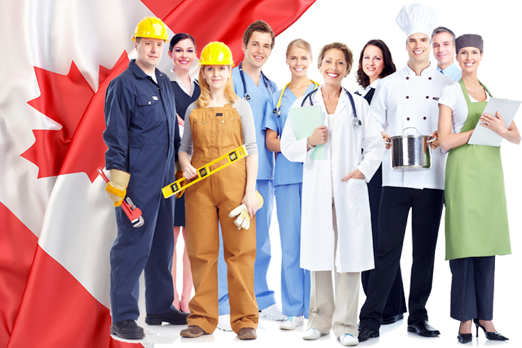 Canada Immigration Consultants