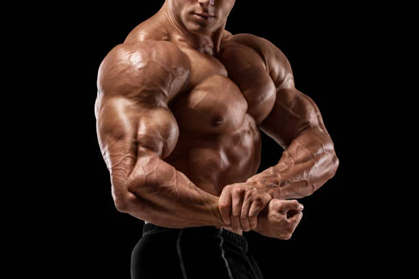 The Safest Steroid for Building Muscle: A Comprehensive Guide