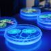 view-laboratory-equipment-neon-lights_23-2151807440